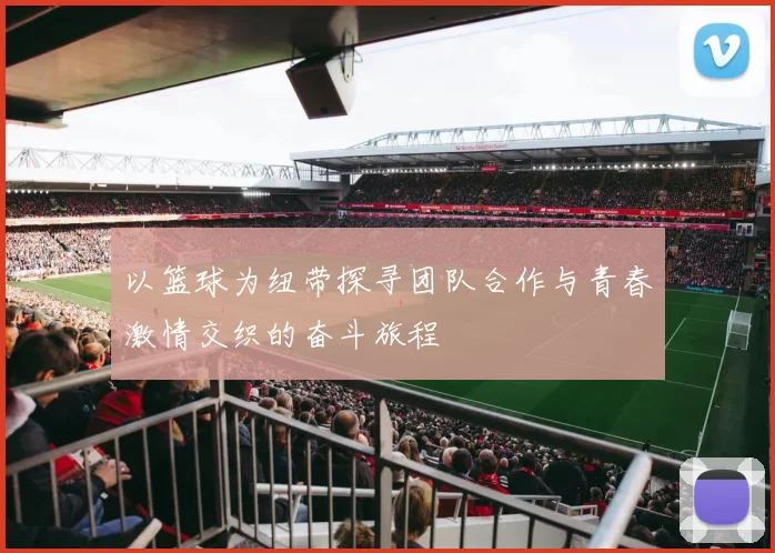 以篮球为纽带探寻团队合作与青春激情交织的奋斗旅程