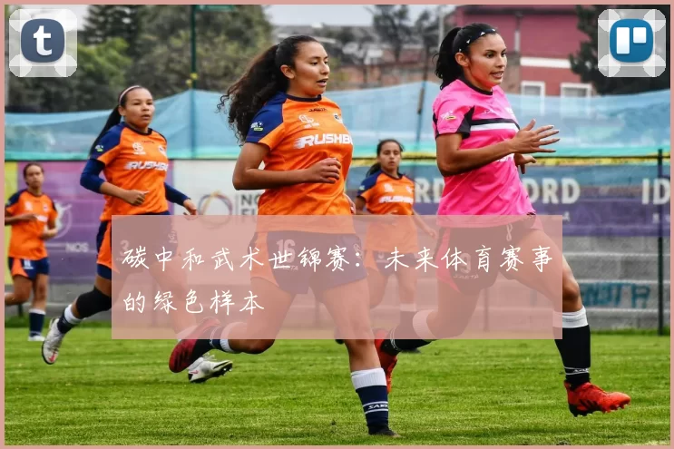 碳中和武术世锦赛：未来体育赛事的绿色样本