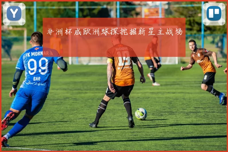 非洲杯成欧洲球探挖掘新星主战场