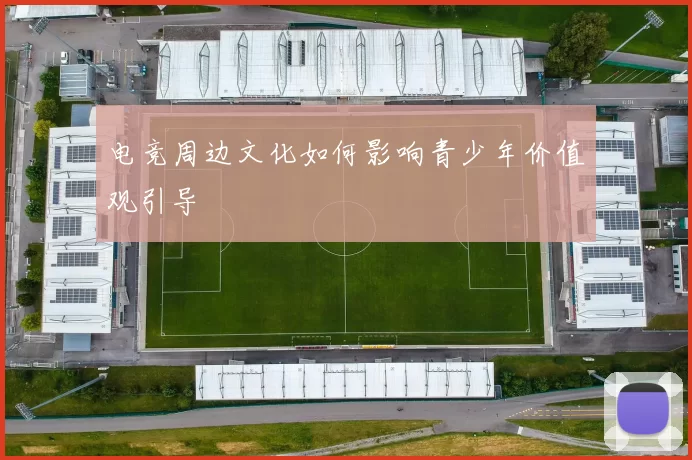 电竞周边文化如何影响青少年价值观引导