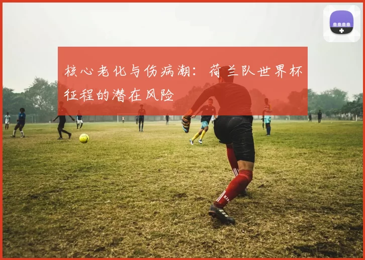 核心老化与伤病潮：荷兰队世界杯征程的潜在风险