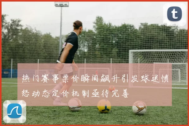 热门赛事票价瞬间飙升引发球迷愤怒动态定价机制亟待完善
