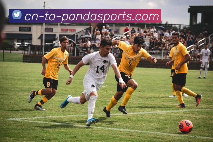 App Interface Preview